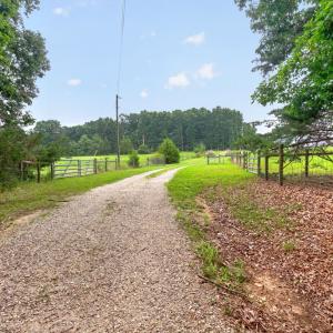 Driveway exit