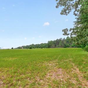 Front Field