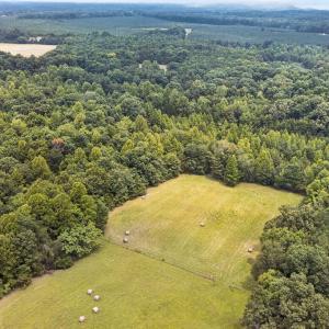 Overhead 2 Pastures Side/Back