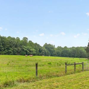 Side Pasture Livestock/Hay