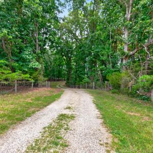Driveway into property