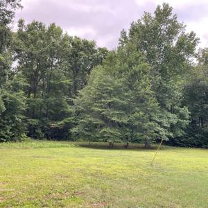 Photo #14 of 5136 Black Walnut Rd, Randolph, VA 1.0 acres