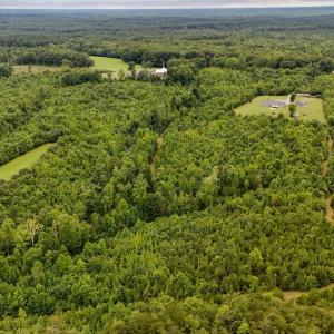 Photo #70 of 2392 Rehoboth Rd, Lunenburg, VA 29.8 acres