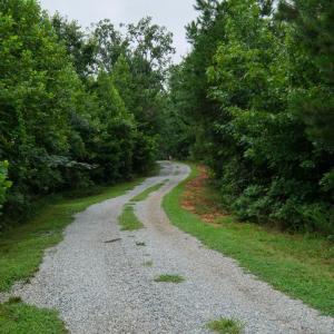 Photo #86 of 2392 Rehoboth Rd, Lunenburg, VA 29.8 acres