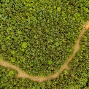 Photo #71 of 2392 Rehoboth Rd, Lunenburg, VA 29.8 acres