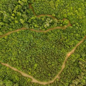Photo #72 of 2392 Rehoboth Rd, Lunenburg, VA 29.8 acres