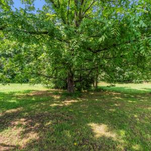Photo #23 of 115 Buckskin Rd, Green Bay, VA 5.0 acres