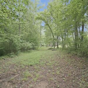 Photo #40 of 302 Thomas Circle, Farmville, VA 0.5 acres