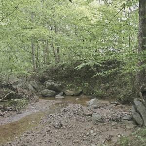 Photo #41 of 302 Thomas Circle, Farmville, VA 0.5 acres
