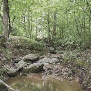 Photo #42 of 302 Thomas Circle, Farmville, VA 0.5 acres