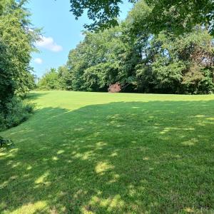 Photo #10 of 1351 Sheppards Rd., Farmville, VA 4.5 acres