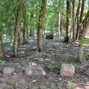 Photo #11 of 1351 Sheppards Rd., Farmville, VA 4.5 acres
