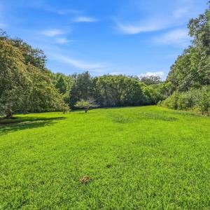 Photo #31 of 76 Old Curdsville Road, Farmville, VA 3.7 acres