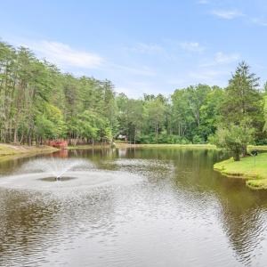 Photo #92 of 372 Hidden Treasure Lane, Pamplin, VA 38.1 acres