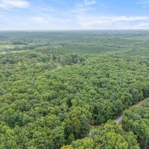 Photo #97 of 372 Hidden Treasure Lane, Pamplin, VA 38.1 acres