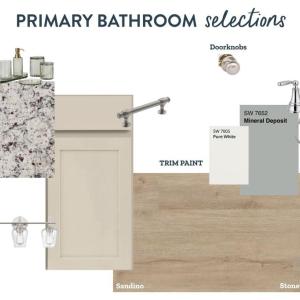 Primary Bathroom, Primary Bathroom Design Selections