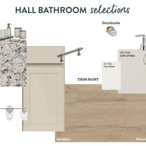 Hall Bathroom, Hall Bathroom Design Selections