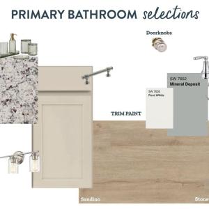 Primary Bathroom, Primary Bathroom Design Selections