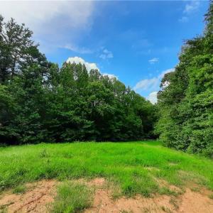 Photo #37 of 12610 Haw Branch Ln, Amelia Court House, VA 7.6 acres
