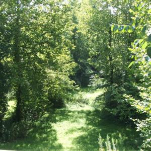 View from rear deck