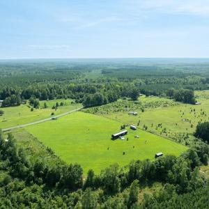 Photo #11 of Harrisburg Road, Randolph, VA 5.0 acres