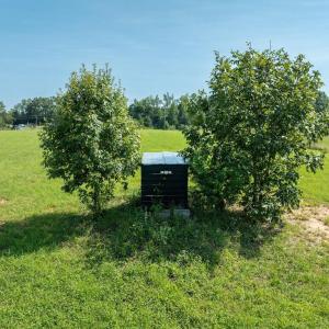 Photo #25 of Harrisburg Road, Randolph, VA 5.0 acres