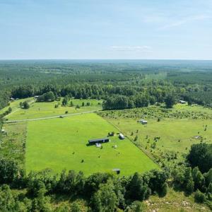 Photo #3 of Harrisburg Road, Randolph, VA 5.0 acres