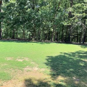 Photo #4 of 6002 Highway Fifteen, Clarksville, VA 5.0 acres