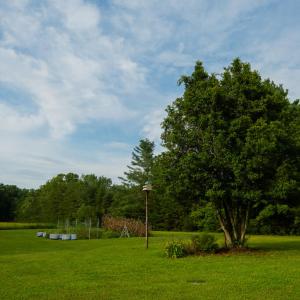 Photo #39 of 2781 Sandy River Rd., Burkeville, VA 10.4 acres