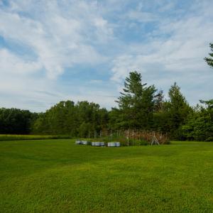 Photo #40 of 2781 Sandy River Rd., Burkeville, VA 10.4 acres