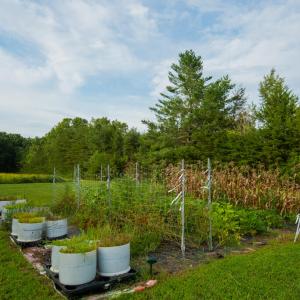 Photo #41 of 2781 Sandy River Rd., Burkeville, VA 10.4 acres