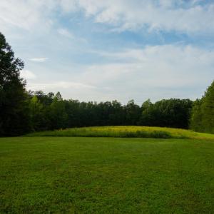 Photo #42 of 2781 Sandy River Rd., Burkeville, VA 10.4 acres