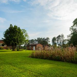 Photo #43 of 2781 Sandy River Rd., Burkeville, VA 10.4 acres