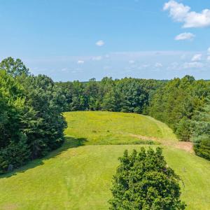 Photo #5 of 2781 Sandy River Rd., Burkeville, VA 10.4 acres