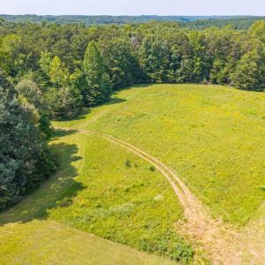 Photo #8 of 2781 Sandy River Rd., Burkeville, VA 10.4 acres