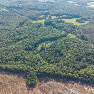 Photo #102 of 327 Rodeo Lane, Dillwyn, VA 75.7 acres