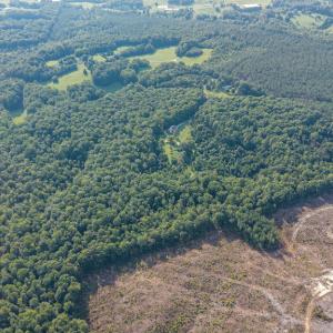 Photo #103 of 327 Rodeo Lane, Dillwyn, VA 75.7 acres