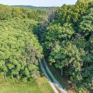 Photo #109 of 327 Rodeo Lane, Dillwyn, VA 75.7 acres