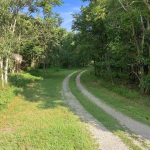 Photo #60 of 327 Rodeo Lane, Dillwyn, VA 75.7 acres