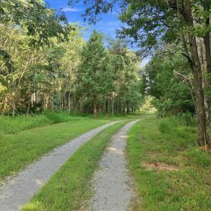 Photo #61 of 327 Rodeo Lane, Dillwyn, VA 75.7 acres