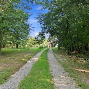 Photo #62 of 327 Rodeo Lane, Dillwyn, VA 75.7 acres