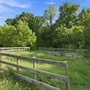 Photo #80 of 327 Rodeo Lane, Dillwyn, VA 75.7 acres