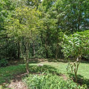 Photo #62 of 706 High St, Farmville, VA 0.2 acres