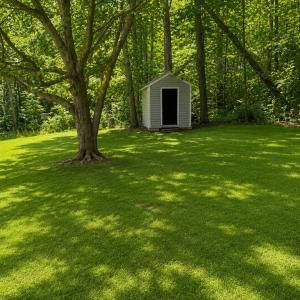 Photo #9 of 69 Forest Acres, Cumberland, VA 2.2 acres