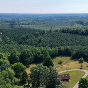 Photo #57 of 1323 Old Peachtree Road, Green Bay, VA 12.6 acres