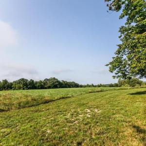 Photo #41 of 648-650 Stone Ridge Rd, Concord, VA 88.2 acres