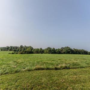 Photo #57 of 648-650 Stone Ridge Rd, Concord, VA 88.2 acres