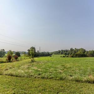 Photo #58 of 648-650 Stone Ridge Rd, Concord, VA 88.2 acres