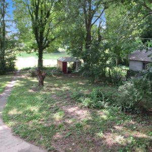 rear Yard