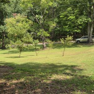 Photo #15 of 2159 Glenmore Rd, Scottsville, VA 5.2 acres